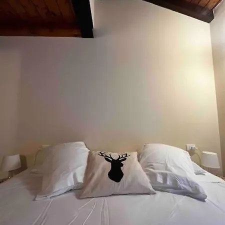 Casa Erminia E L'amore Per La Montagna