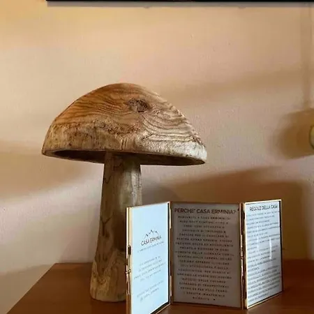 Casa Erminia E L'amore Per La Montagna Daire
